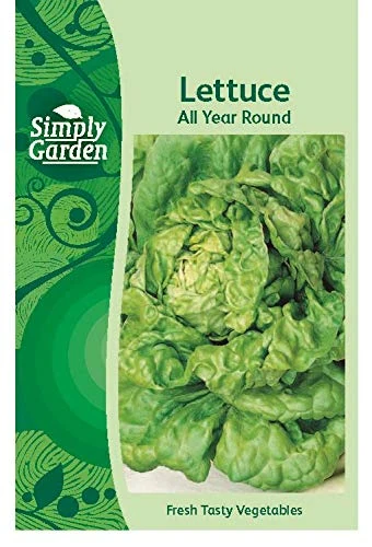Simply Garden Lettuce All Year Round Fresh Vegetable Seeds Leafy Salad Grow Your Own Garden