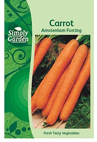 Simply Garden Carrot Amsterdam Forcing Seeds Fresh Vegetable Grow Your Own Garden