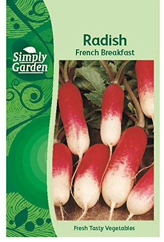 Simply Garden Radish French Breakfast Seeds Root Vegetable Grow Your Own Garden
