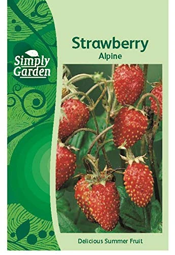 Simply Garden Strawberry Alpine Fresh Fruit Seeds Grow Your Own Garden