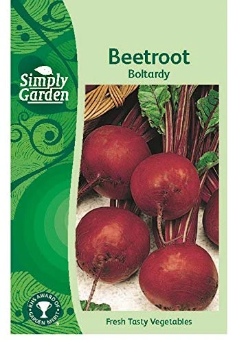 Simply Garden Beetroot Boltardy Seeds Root Vegetable Grow Your Own Garden