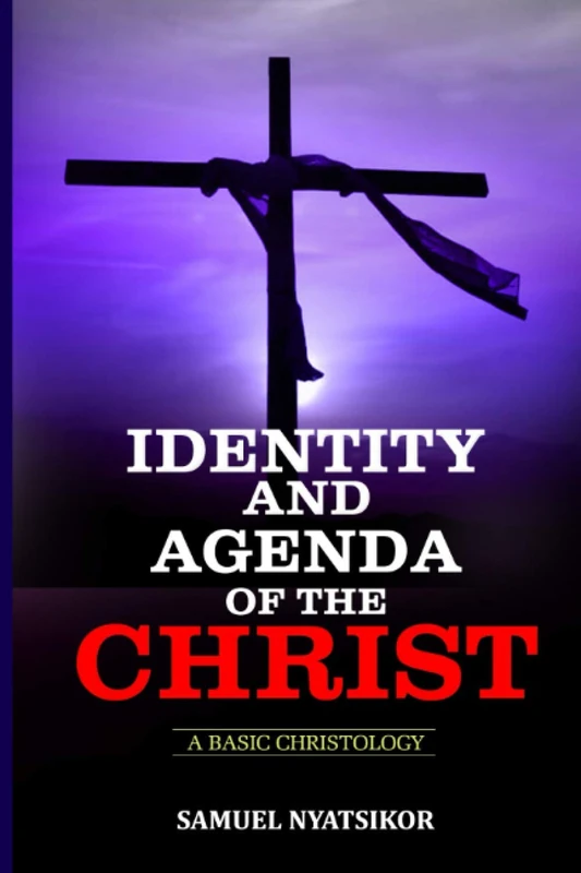 Identity And Agenda Of The Christ: A Basic Christology - Image 1