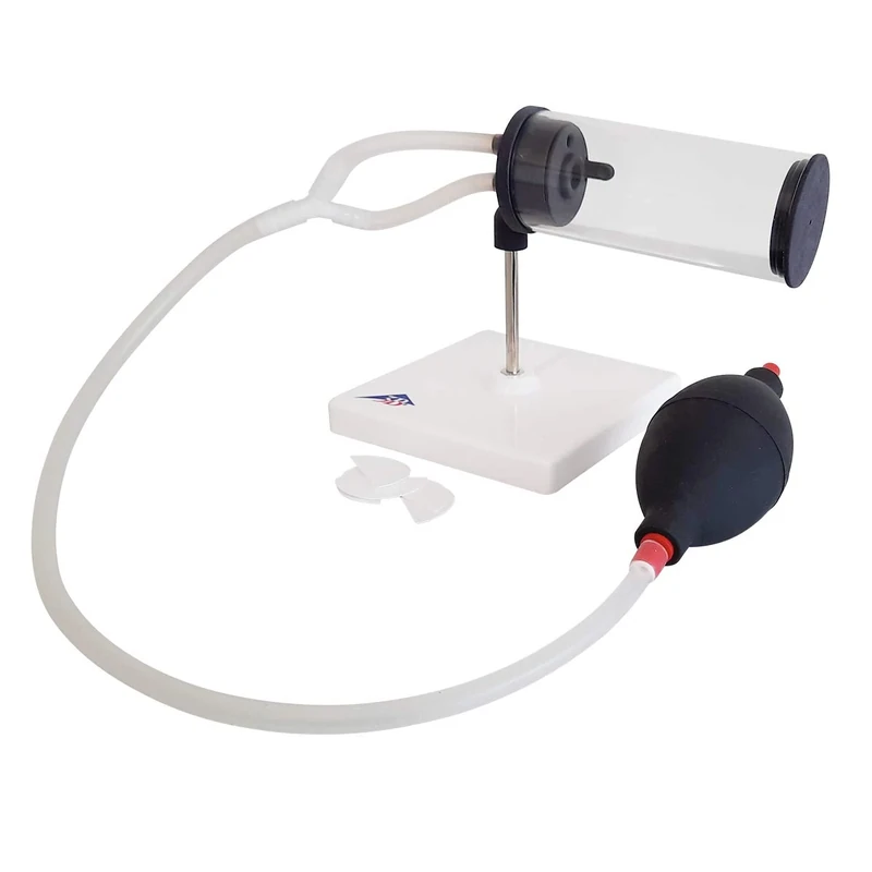 3B Scientific T6000 - Smoking Model 3 in 1