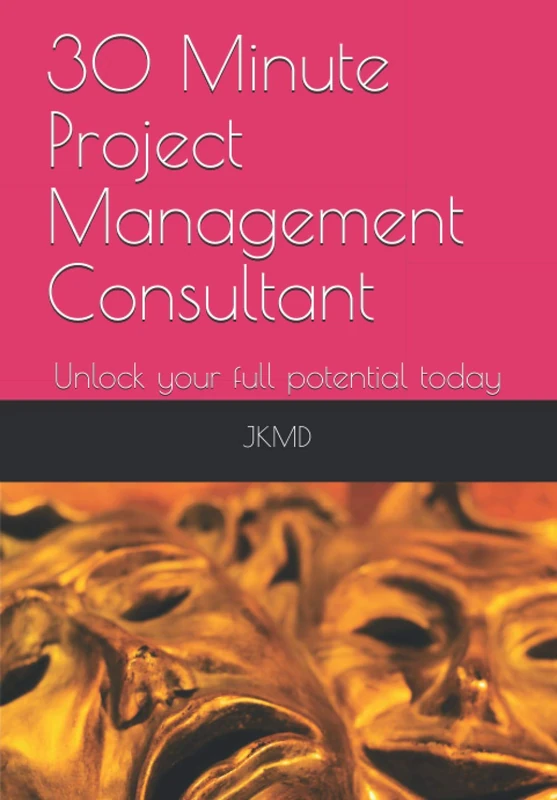 30 Minute Project Management Consultant: Unlock your full potential today - Image 1