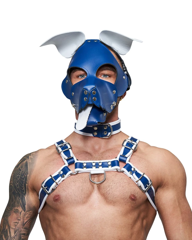 Mister B Mister B Floppy Dog Hood Circuit - Blue White - 300 g - Image 1
