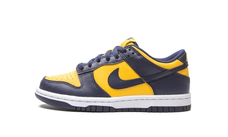 NIKE Boys Dunk Low (Gs) Sneaker, Multicolour, 5 UK