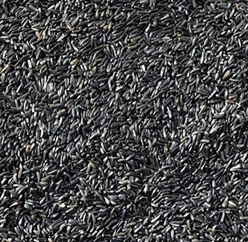 NIGER NYGER SEED 5kg High Energy High Protein Premium Quality All Year Round Wild Garden Bird Seed