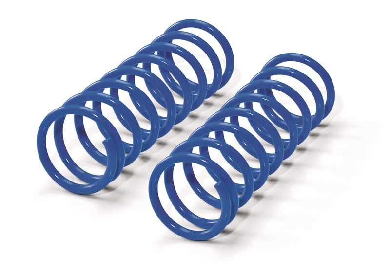 WESTFALIA Automotive 407382500001 Reinforcement Springs - Image 1