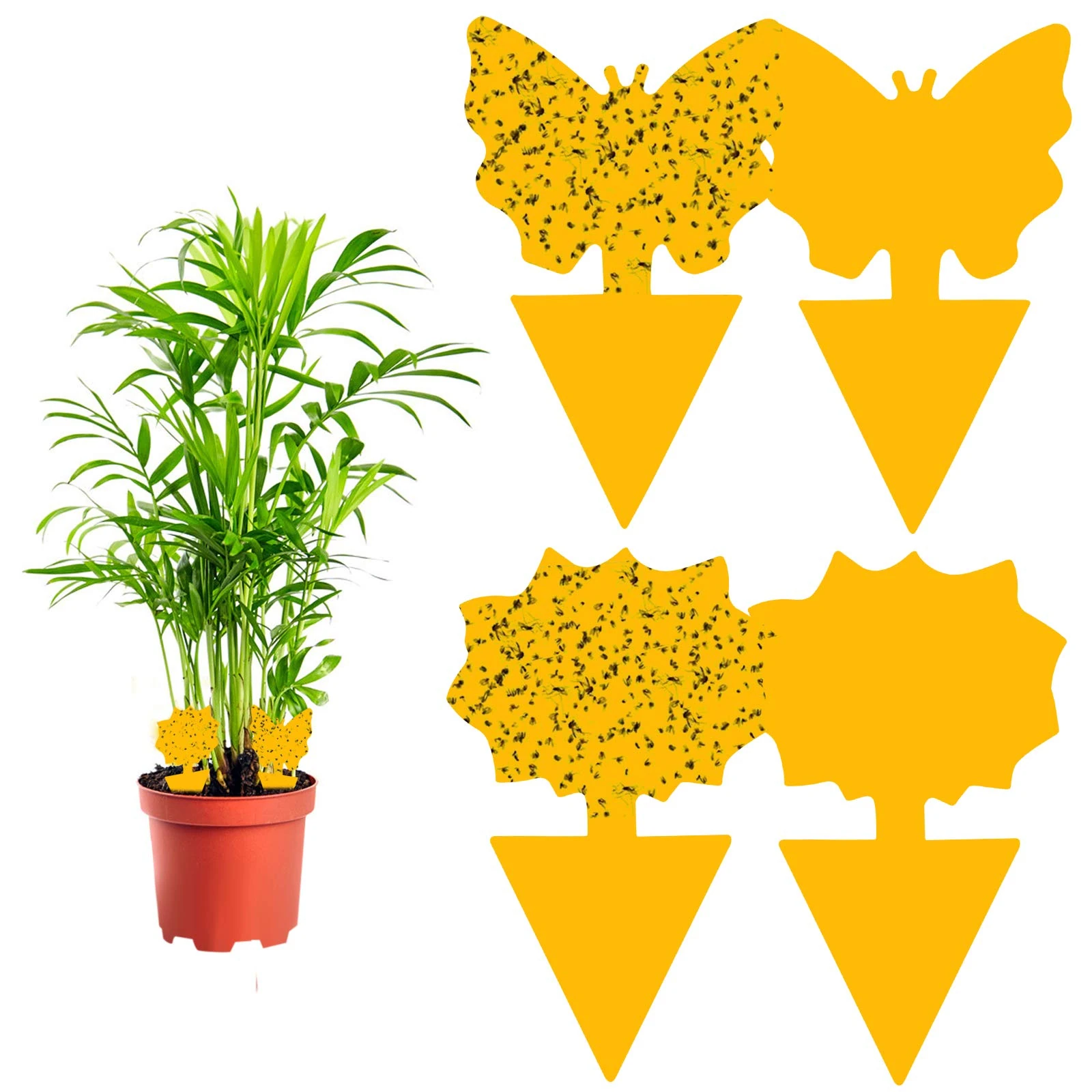 Sticky Fruit Fly Traps, 60 Pack Yellow Sticky Fly Traps, Fruit Fly Sticky Traps, Fly Trap Plant, Double-sided Sticky Fungus Gnat Killer for Houseplant Fly Insect Control Indoor and Outdoor