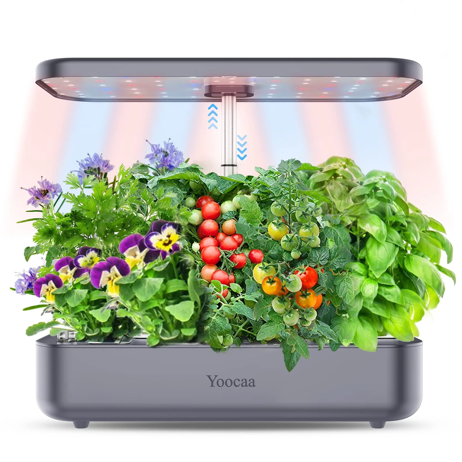 Yoocaa 12-Pod Hydroponics Growing System with LED Grow Light & Automatic Timer, Adjustable Indoor Herb Garden Kit for Home Kitchen (19.4'' Max Height), Gray