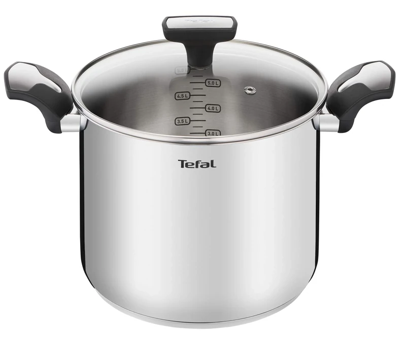Tefal Emotion E3016104 Tall Saucepan 22 cm 6 L Stainless Steel Thick Base for Even Heat Distribution Elegant Design Heavy Duty Handles Glass Lid Induction Cranberry