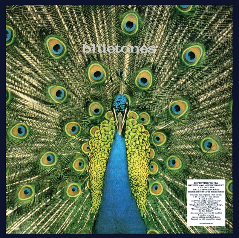 Expecting To Fly - 25th Anniversary Edition (Amazon Exclusive) (180g Blue Vinyl + 12" Single) [VINYL]
