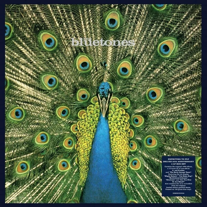 Expecting To Fly - 25th Anniversary Edition (180g Blue Vinyl) [VINYL]
