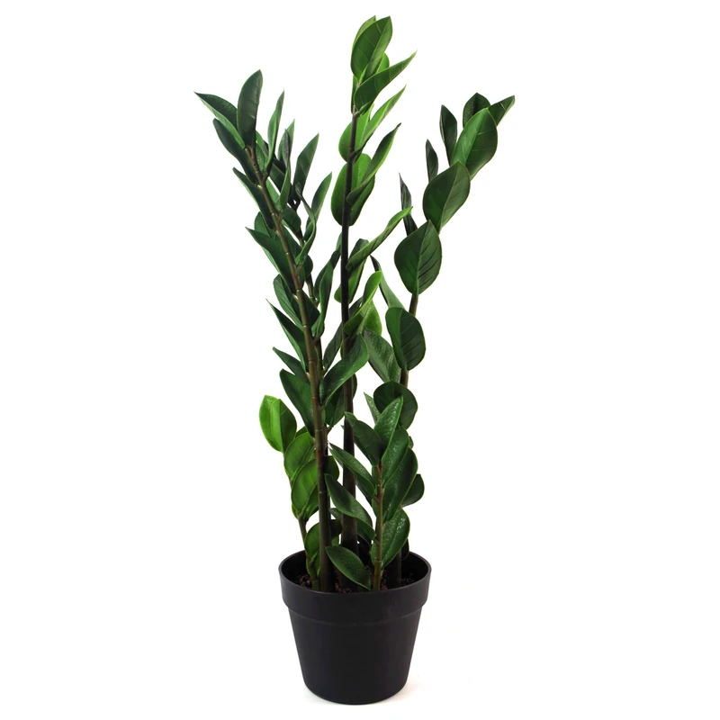 Leaf Design UK Realistic Large Artificial Foliage Plant with Pot, Zanzibar Gem, 75cm