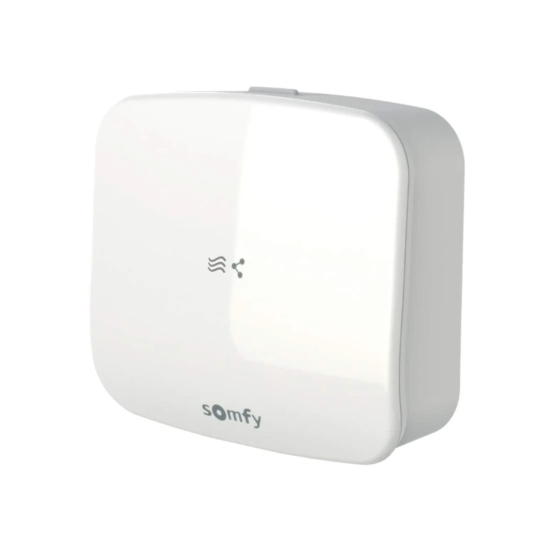 Somfy 1870359 - Receiver for Thermostat Connected Radio io