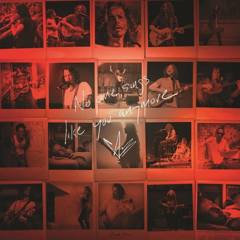 No One Sings Like You Anymore [Picture Disc LP] [VINYL]