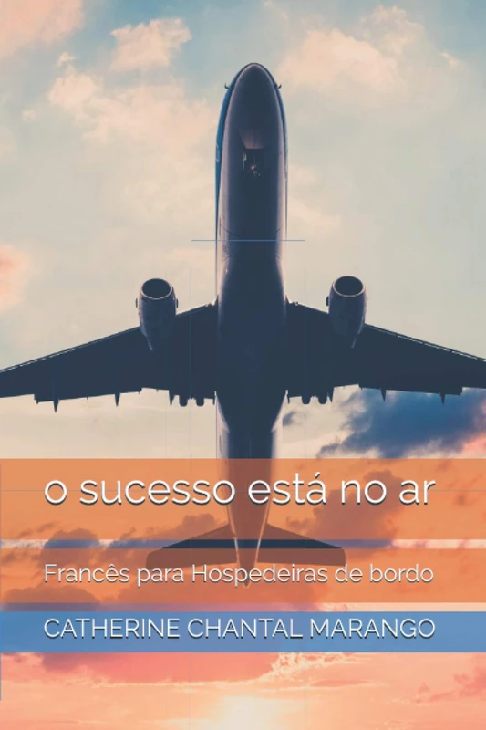 o sucesso está no ar: Francês para Hospedeiras de bordo - Image 1
