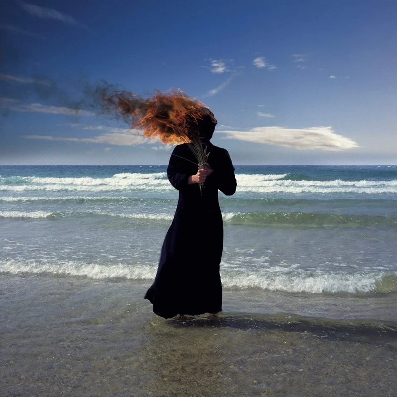 Radiation 2013 (Gatefold Sleeve) (2LP) [VINYL]