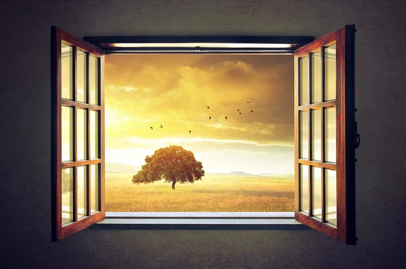 papermoon Photo Wallpaper Yellow 18383