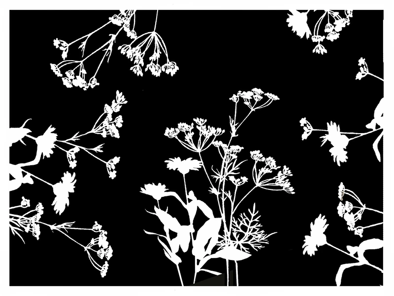 Cogir - Ref 314326I - Pro Nappe Food Safe Contact Disposable Patterned Placemats (Pack of 500) - 30 x 40cm in Size, Aesthetic Embossed Satin Texture Finish - Garden Pattern