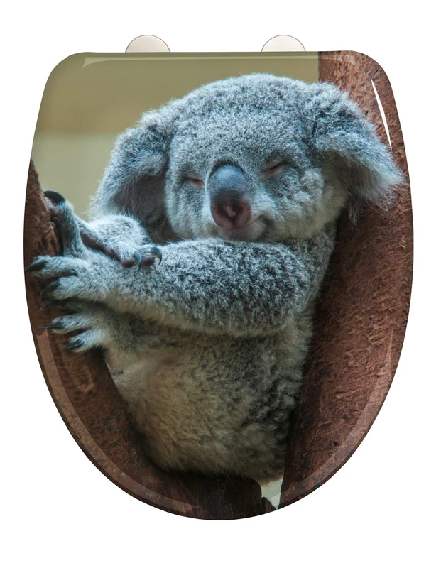 WENKO Koala Antibacterial Toilet Seat with Soft Close Mechanism, Quick Release, Stainless Steel - Image 1