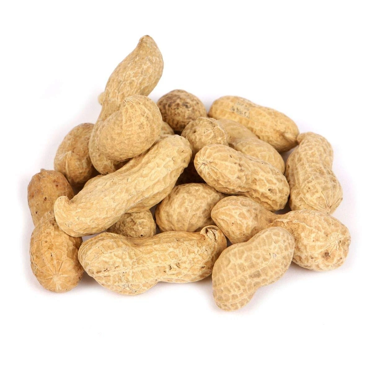 Superpet Monkey Nuts in Peanut Shells – Natural Treats for Wild Birds and Squirrels (0.5Kg)
