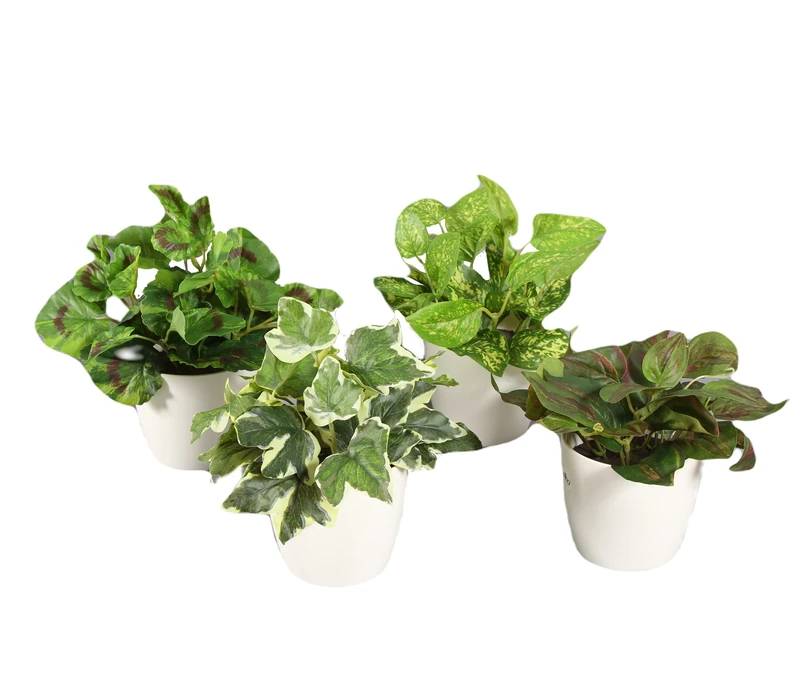 Set of 4 White Artificial Plants Indoor Plant Pots 20cm Height Includes Pot