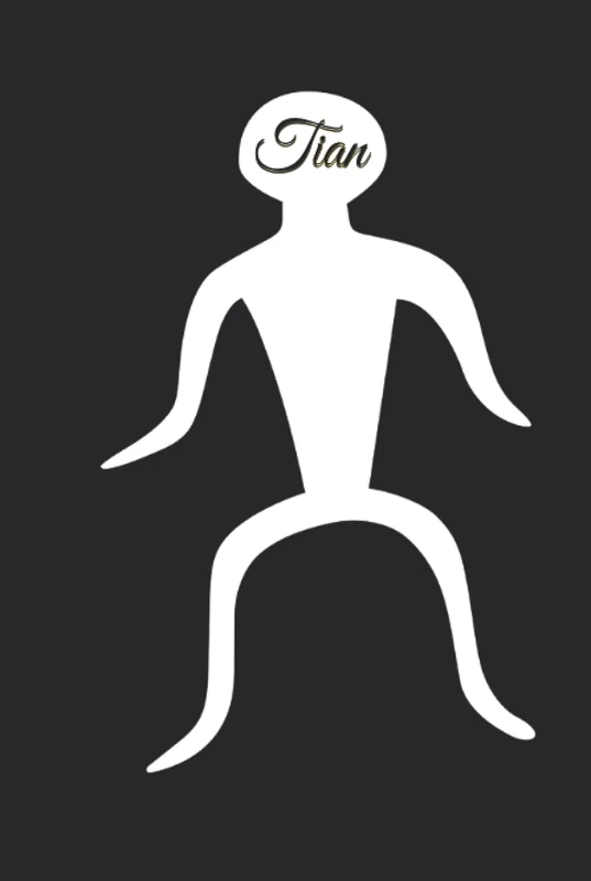 Tian: 333 Blank Notebook Pages Ask and you shall receive. Write to your wishes they will all come true.