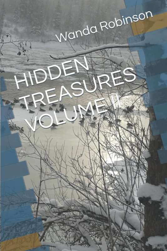 HIDDEN TREASURES VOLUME II (Hidden Treasures Volume I and II)