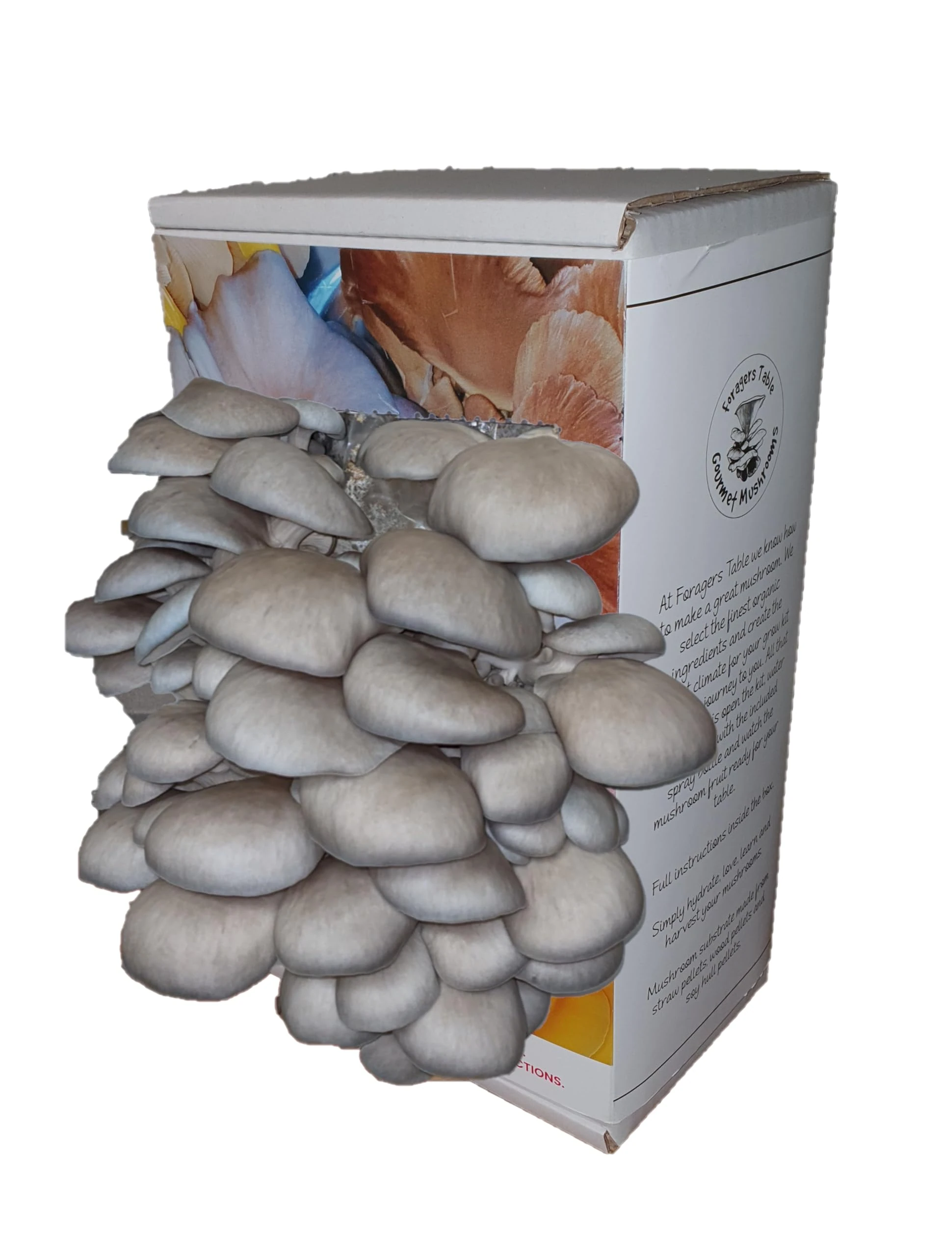 Blue Oyster Mushroom Growing Kit | Gardening Gifts - Ready to Grow Mushrooms Kit | Fun to Grow & Delicious to Eat |Blue Oyster Grow Kit | Grow Your Own Kits - Mushroom Gifts | Foragers Table