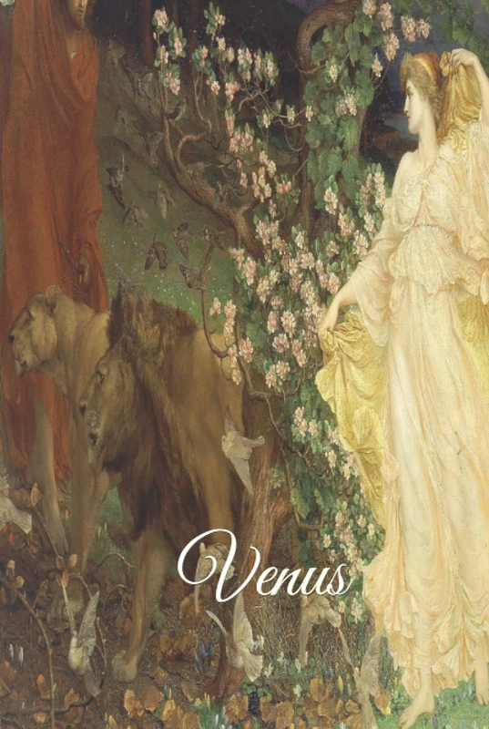 Venus: 333 Blank Notebook Pages Ask and you shall receive. Write to your wishes they will all come true.