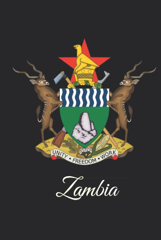 Zambia: 333 Blank Notebook Pages Ask and you shall receive. Write to your wishes they will all come true. - Image 1