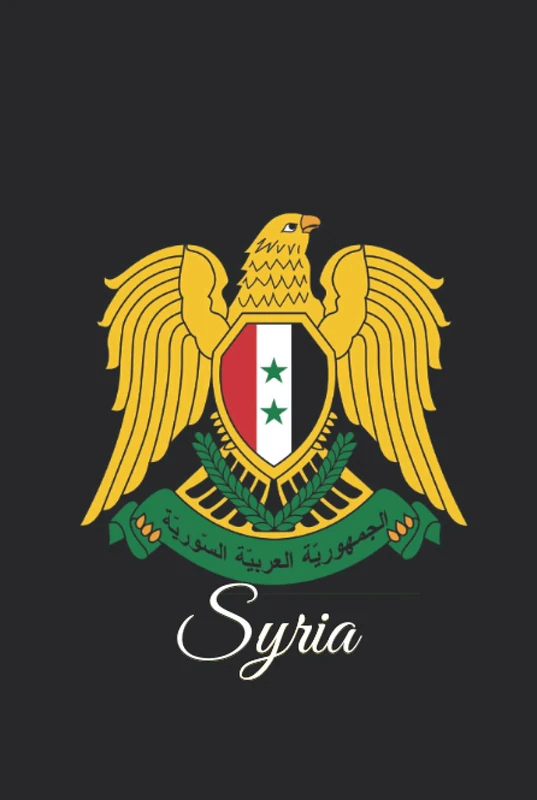 Syria: 333 Blank Notebook Pages Ask and you shall receive. Write to your wishes they will all come true.