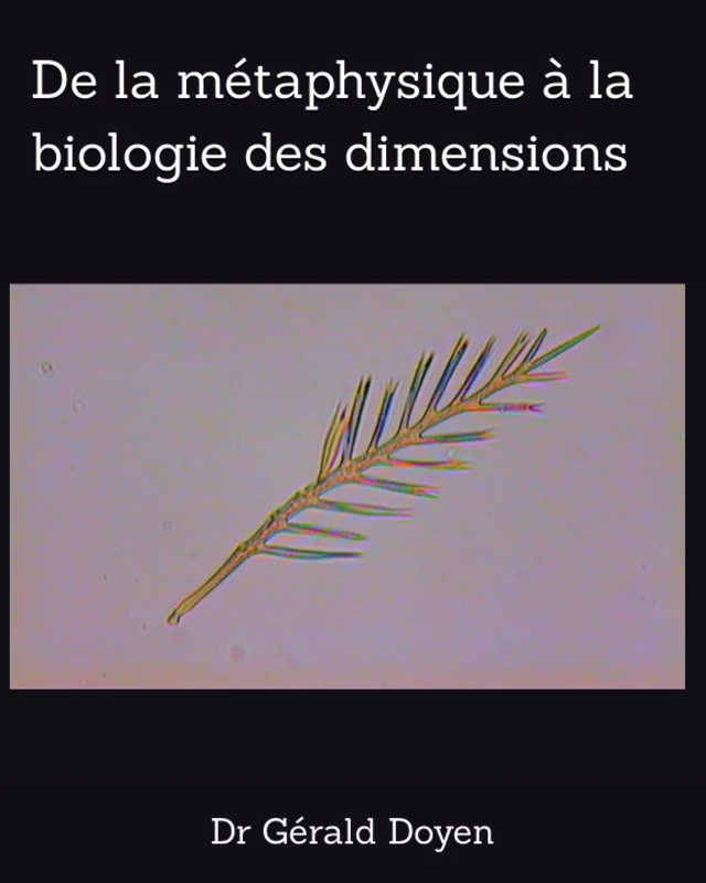 De la métaphysique à la biologie des dimensions