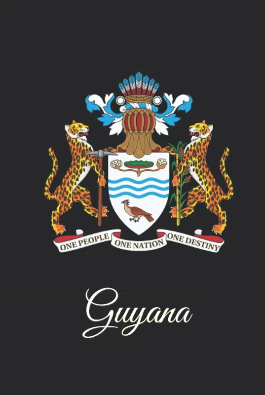 Guyana: 333 Blank Notebook Pages Ask and you shall receive. Write to your wishes they will all come true. - Image 1