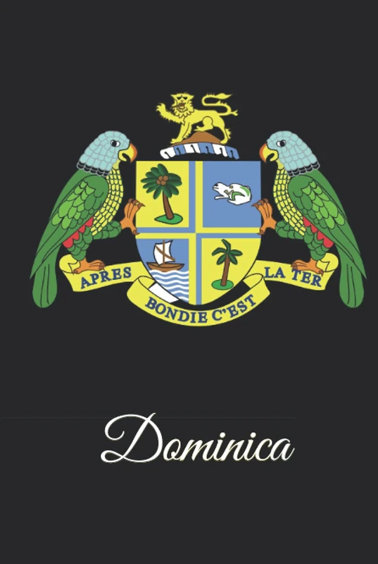Dominica: 333 Blank Notebook Pages Ask and you shall receive. Write to your wishes they will all come true. - Image 1
