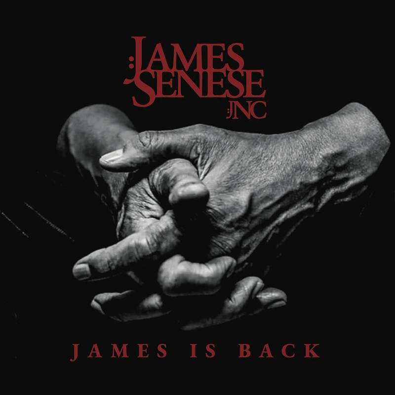 James Is Back [VINYL] - Image 1