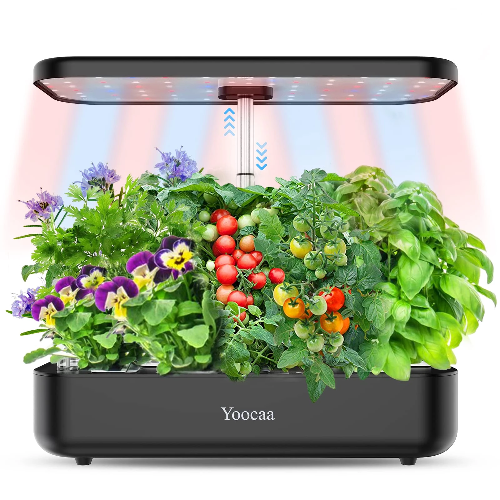 Yoocaa 12-Pod Hydroponics Growing System with LED Grow Light & Automatic Timer, Adjustable Indoor Herb Garden Kit for Home Kitchen (19.4'' Max Height), Black