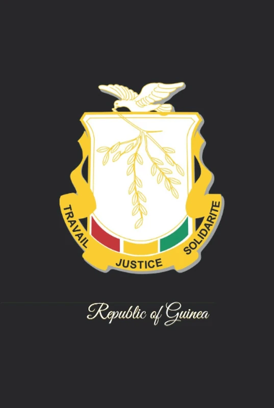Republic of Guinea: 333 Blank Notebook Pages Ask and you shall receive. Write to your wishes they will all come true. - Image 1