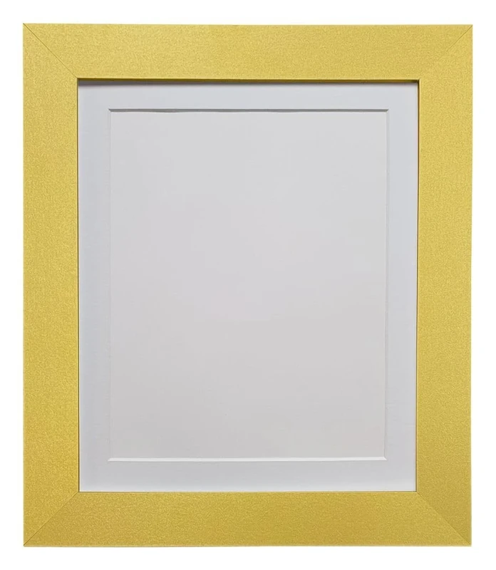 FRAMES BY POST Metro Picture Photo Frame Gold with White Mount 30 x 24 Image Size 24 x 20 Inch Plastic Glass