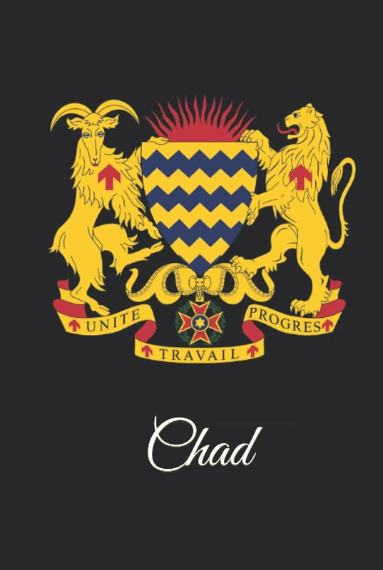 Chad: 333 Blank Notebook Pages Ask and you shall receive. Write to your wishes they will all come true. - Image 1