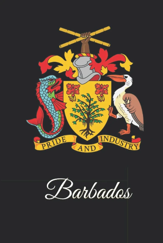Barbados: 333 Blank Notebook Pages Ask and you shall receive. Write to your wishes they will all come true.