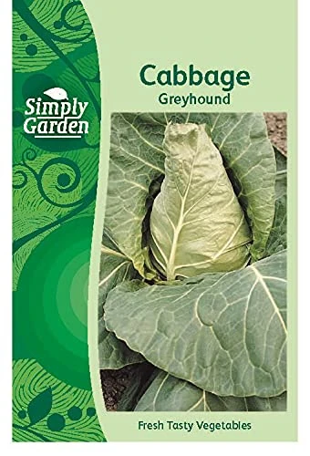 Simply Garden Cabbage Greyhound Seeds Leafy Vegetable Grow Your Own Garden