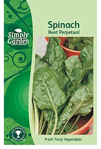 Simply Garden Spinach Beet Perpetual Fresh Vegetable Seeds Leafy Salad Grow Your Own Garden