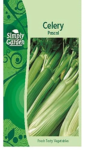 Simply Garden Celery Pascal Fresh Vegetable Seeds Grow Your Own Garden