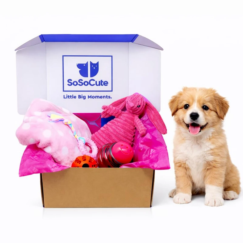SoSoCute Pink Dog Gift Box - Puppy Chew Toy Set of 5 - Care Package with Dog Blanket, Squeaky Plush, Rubber Puppy Teether, Teething Ball, and Treat Ball for Small and Medium Dogs