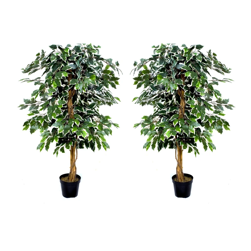 GreenBrokers Premium Artificial Variegated Ficus Tree Potted Plant 140 cm (Set of 2), Two Green, one Size