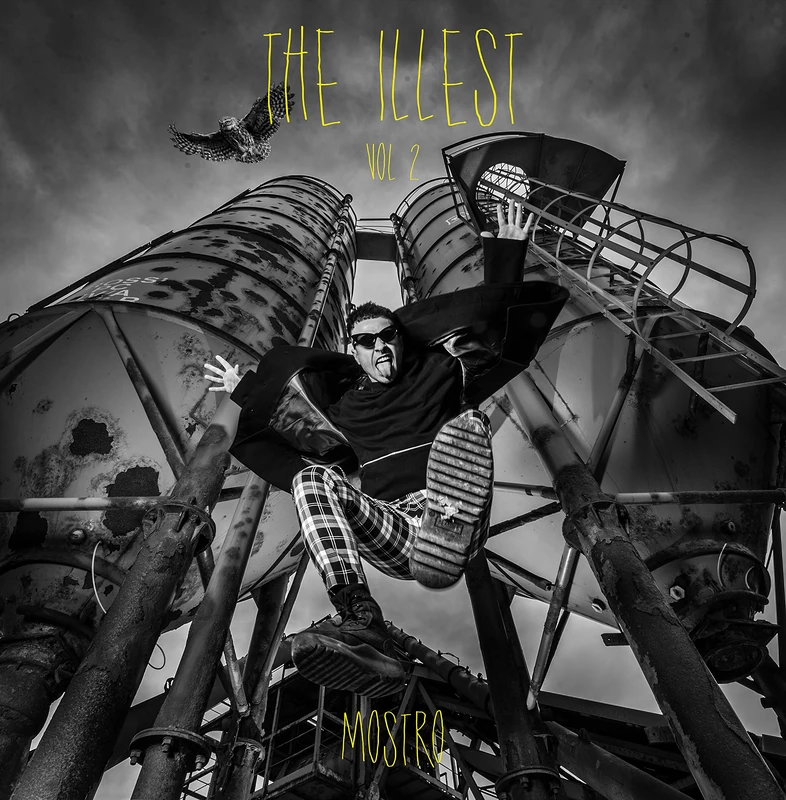 The Illest Vol 2 [VINYL]