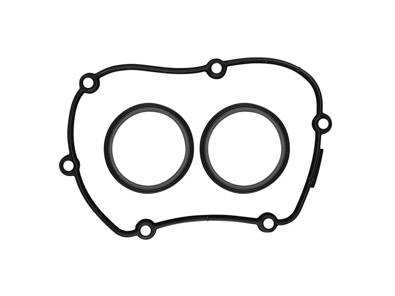 Special gasket set
