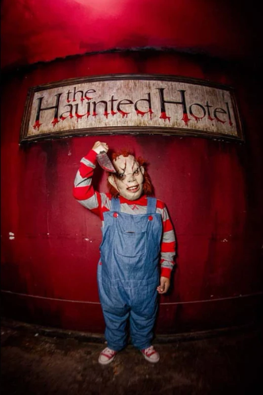 THE HAUNTED HOTEL
